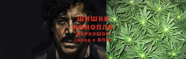 прущая мука Дмитриев