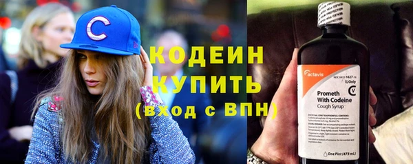 прущая мука Дмитриев